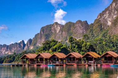 Surat Thani, Tayland 'daki Khao Sok Ulusal Parkı, Güney Doğu Asya