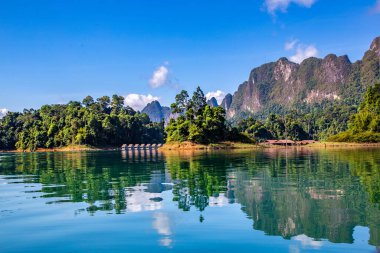 Surat Thani, Tayland 'daki Khao Sok Ulusal Parkı, Güney Doğu Asya