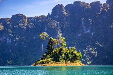 Surat Thani, Tayland 'daki Khao Sok Ulusal Parkı, Güney Doğu Asya
