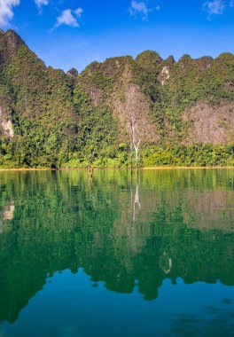 Surat Thani, Tayland 'daki Khao Sok Ulusal Parkı, Güney Doğu Asya