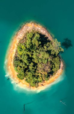 Surat Thani, Tayland 'daki Khao Sok Ulusal Parkı, Güney Doğu Asya