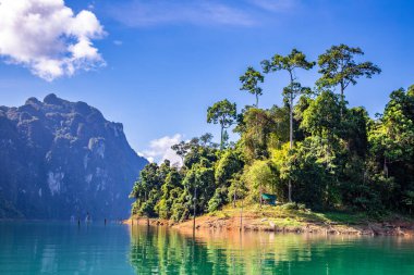 Surat Thani, Tayland 'daki Khao Sok Ulusal Parkı, Güney Doğu Asya