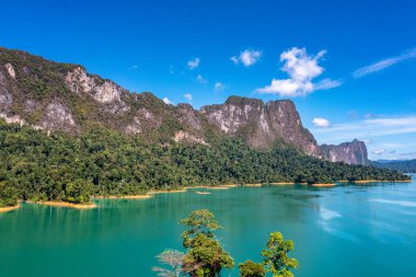 Surat Thani, Tayland 'daki Khao Sok Ulusal Parkı, Güney Doğu Asya