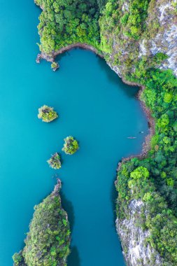 Surat Thani, Tayland 'daki Khao Sok Ulusal Parkı, Güney Doğu Asya