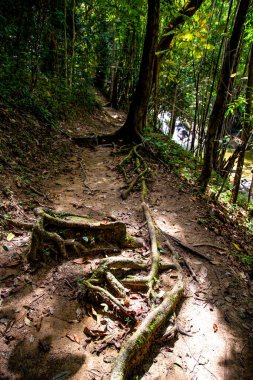 Namtok Lampee Şelalesi, Tayland, Phang nga 'da. Yüksek kalite fotoğraf