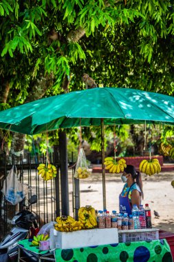 Wat Suwan Khuha tapınağı, Tayland, Phang Nga 'daki Buda heykelleriyle mağarada. Yüksek kalite fotoğraf