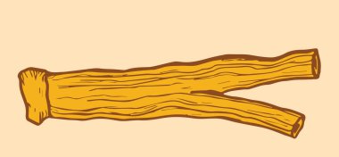 Kızıl Koreli kurutulmuş ginseng çizimi. Vektör illüstrasyonu