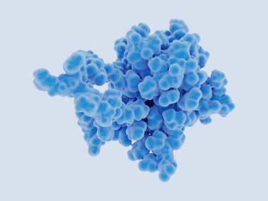 Fibroblast büyüme faktörü. FGF21, karaciğer tarafından salgılanan bir hormon olup adositlerde glikoz alımını uyarır ama diğer hücre tiplerinde değil. Kaynak: PDB girdisi 6m63.