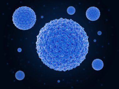 Dang virüsü dang hummasının sebebidir. Tropikal ülkelerdeki en kötü sivrisinek taşıyan insan patojeni haline geldi. Kaynak: PDB girdisi 3j6s.