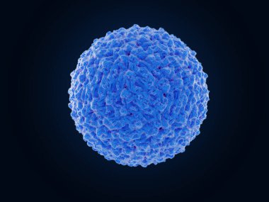 Dang virüsü dang hummasının sebebidir. Tropikal ülkelerdeki en kötü sivrisinek taşıyan insan patojeni haline geldi. Kaynak: PDB girdisi 3j6s.