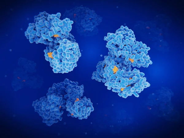 Humant Serumalbumin Det Mest Förekommande Proteinet Blodplasma Det Transporterar Hormoner Stockbild