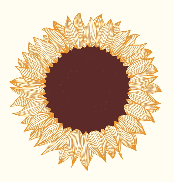 Tournesol. Belle fleur dessinée à la main — Image vectorielle
