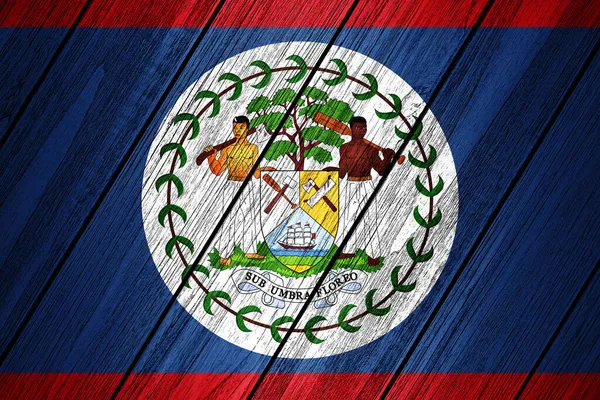 Belize Vlag Van Hout Illustratie — Stockfoto