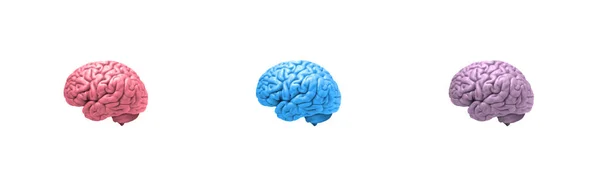 Ícones Cerebrais Isométrica Cérebros Humanos — Fotografia de Stock