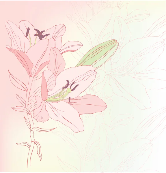 Floral φόντο με κρίνα — Διανυσματικό Αρχείο