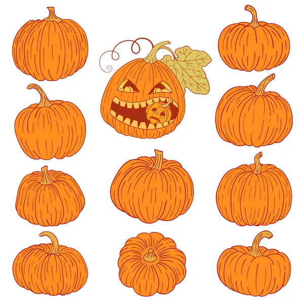 Un conjunto de calabazas, colección vectorial de calabazas dibujadas a mano lindo sobre fondo blanco. — Archivo Imágenes Vectoriales