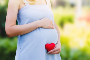 Mavi elbiseli hamile bir kadın elinde bir yaz parkında kırmızı bir kalp tutuyor. Hamilelik, ebeveynlik, annelik kavramı. Kopyalama alanı olan çocuk konsepti.