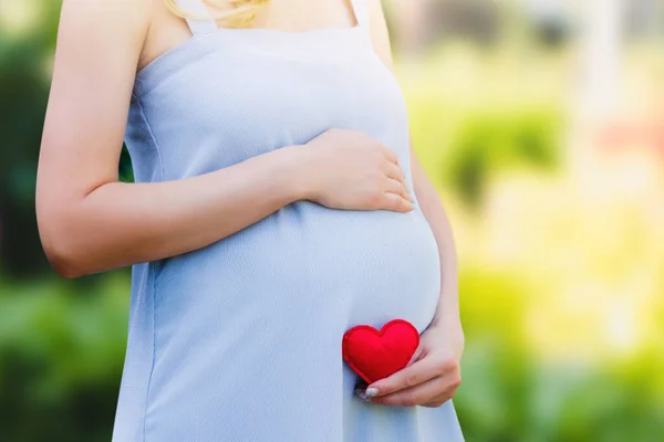 青いドレスを着た妊婦が夏の公園で赤いハートを手に持っている 母親の概念 コピースペースと子供の概念への愛 — ストック写真