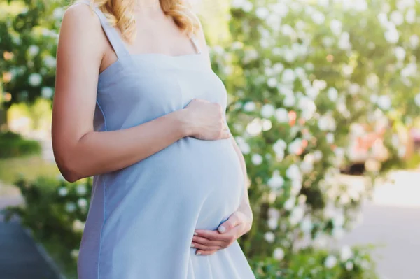 Una Mujer Embarazada Con Vestido Azul Primer Plano Fondo Naturaleza — Foto de Stock