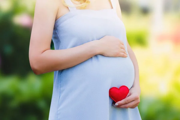一个穿着蓝色衣服的孕妇在夏天的公园里 手里拿着一颗红心 生儿育女 母性观念有复制空间的爱儿童概念 — 图库照片