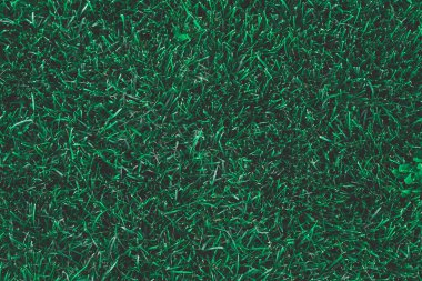 Yeşil çimen dokusu. Yeşil çimlerin arka plan dokusu. Kopyalama alanı olan çim yüzeyi