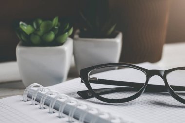 Kalem, defter, saksı bitkileri masanın üzerinde. İşyeri