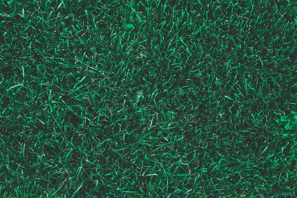 绿色草质背景 绿草的背景质感 具有复制空间的草皮表面 — 图库照片