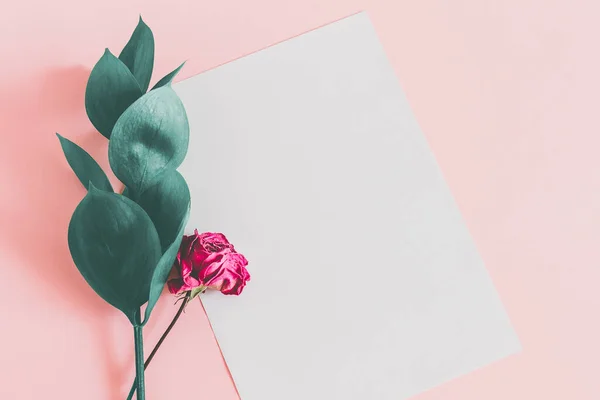 White sheet of paper on a pink background with green leaves and a dry pink rose top view mockup. Floral background for lettering with copy space.