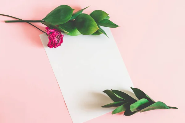 White sheet of paper on a pink background with green leaves and a dry pink rose top view mockup. Floral background for lettering with copy space.