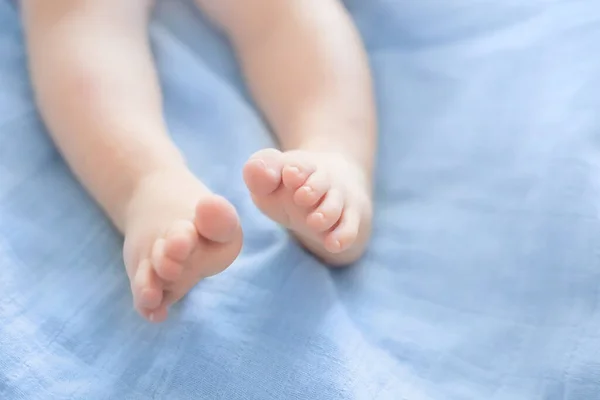 baby legs lie on a blue blanket. Baby health. Leg motor skills