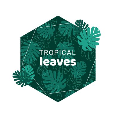 Tropik yaz yaprakları arka planda, geometrik şekilli yazılar. Canavar yaprakları, çiçek vektör çizimi