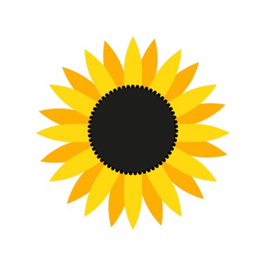 Beyaz arka planda sarı bir ayçiçeği. Düz çizim. Ukrayna Çiçeği.