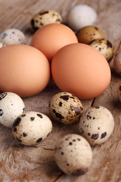 Bıldırcın ve tavuk yumurta — Stok fotoğraf