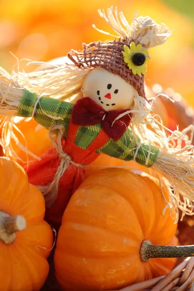 Scarecrow and little pumpkins — Stock Photo, Image