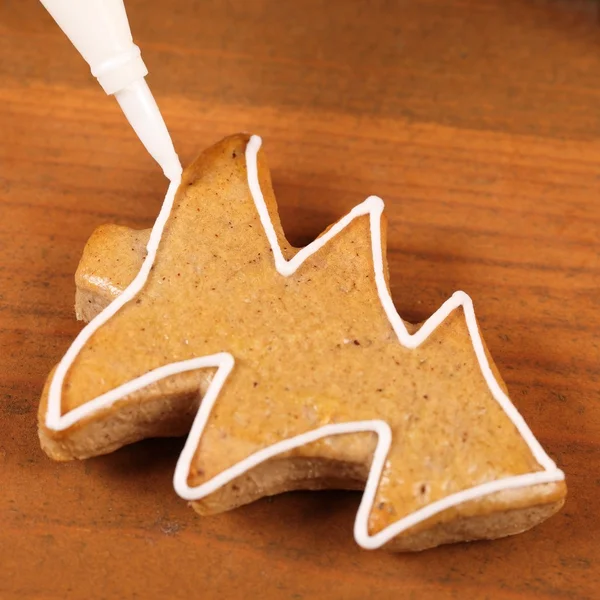 Close-up of pipping bag and gingerbread cookie — Stock Photo, Image