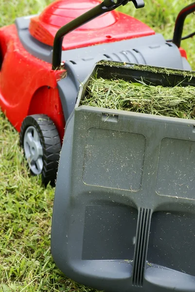 Container of lawn mower full of grass — Stock Photo, Image