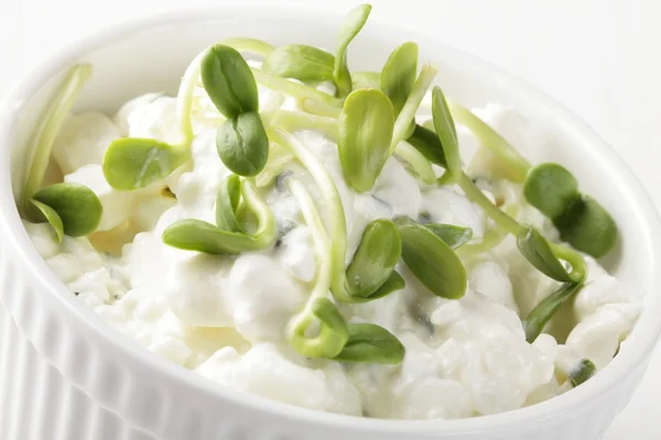 Cottage cheese with herbs — Stock Photo, Image