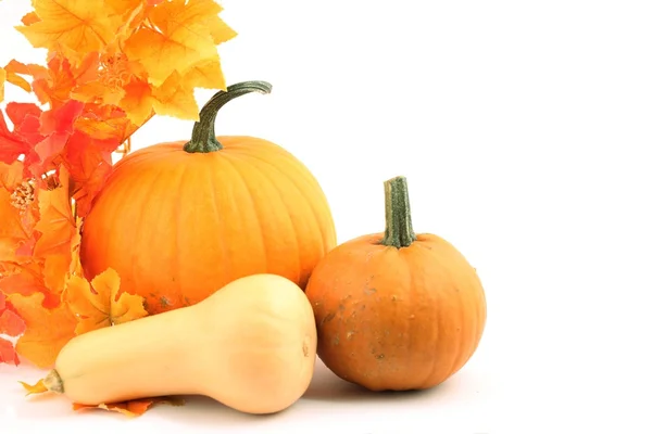 Various pumpkins and colorful leaves — Stock Photo, Image