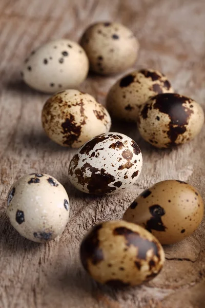 Close-up de ovos de codorna em fundo de madeira . — Fotografia de Stock