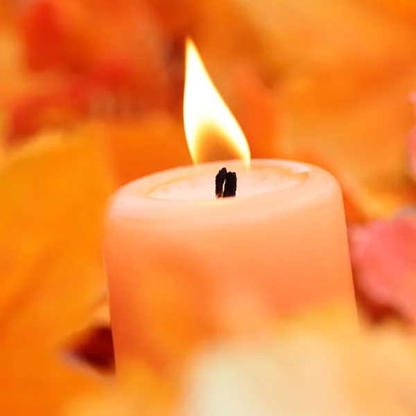 Primer plano de la vela en hojas coloridas de otoño . — Foto de Stock