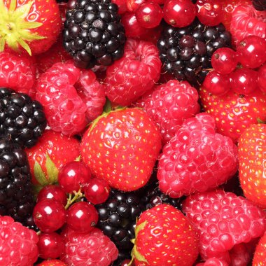 berry meyve Close-Up