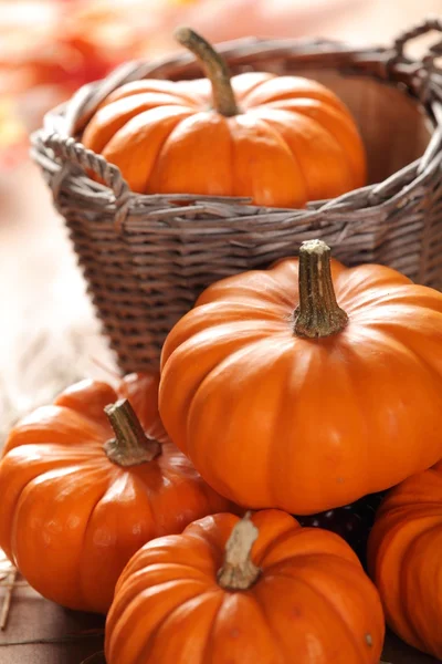 Petites citrouilles nature morte — Photo