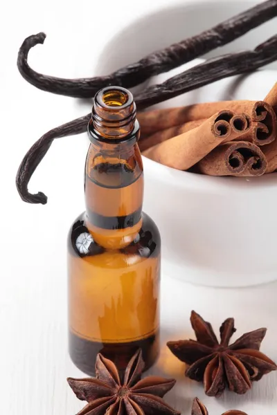 Vanilla beans, anise star, cinnamon sticks — Stock Photo, Image
