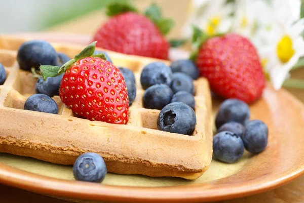 Close-up de prato com waffle e frutas frescas — Fotografia de Stock