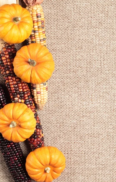 Indian corns and little pumpkins — Stock Photo, Image
