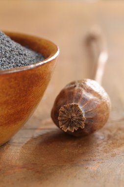 haşhaş tohumu ile kase ve kuru haşhaş kapsülü.