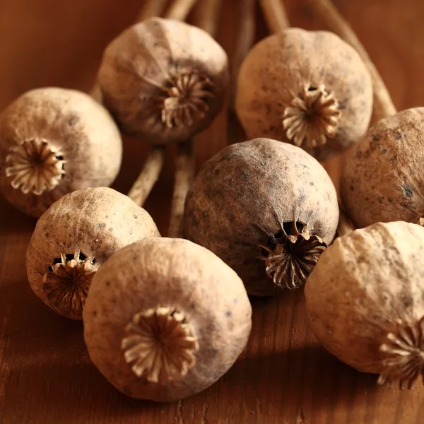 Close-up van droge poppy heads. — Stockfoto