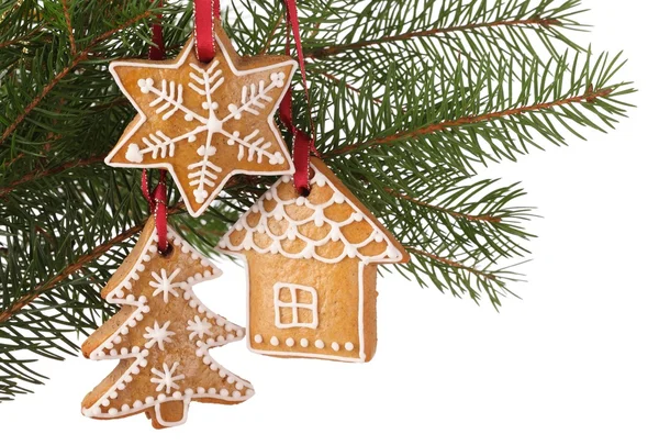 Christmas gingerbread cookies hanging on branch — Stock Photo, Image