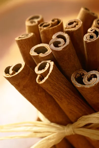 Close up of cinnamon sticks. — Stock Photo, Image