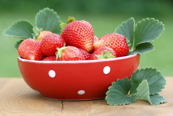 Red bowl with strawberies on garden table — Stock Photo, Image